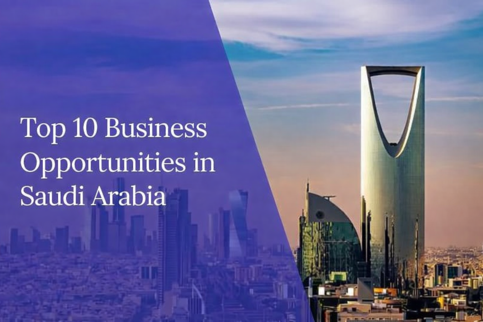 business opportunities in saudi arabia